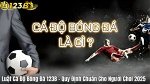 Luật Cá Độ Bóng Đá 123B – Quy Định Chuẩn Cho Người Chơi 2025